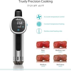 Wancle Sous Vide Precision Cooker (Model: P00252) – Thermal Immersion Circulator for Professional Home Cooking
