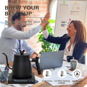 Electric Gooseneck Kettle, 1L Stainless Steel Electric Water Kettle & Coffee Kettle with Temperature Indicate, Constant Temperature, Auto Shut Off, Touch Screen Panel, 1000W Quick Heating