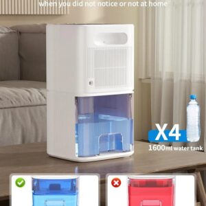 Portable Home Dehumidifier (non-industrial, consumer desktop/home use)