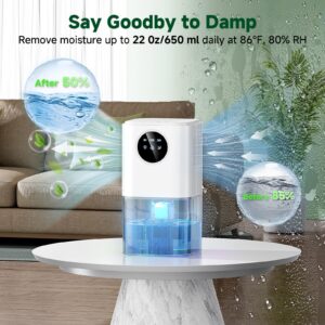 DS01 Portable Dehumidifier