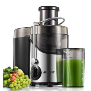 Juicer Machines, Juilist 3" Wide Mouth Juicer Extractor Max Power 800W
