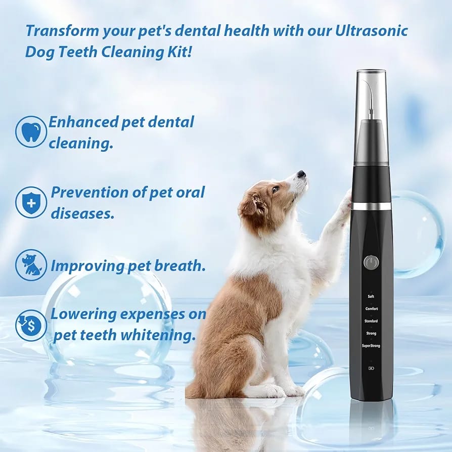 Ultrasonic dental calculus remover used for home oral hygiene - Image 5