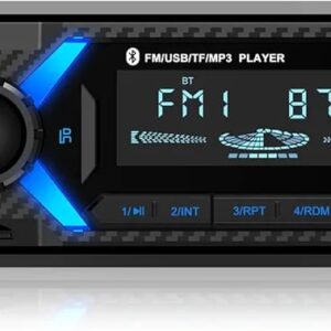 Wistrue R-2420 1DIN car MP3 player and radio receiver