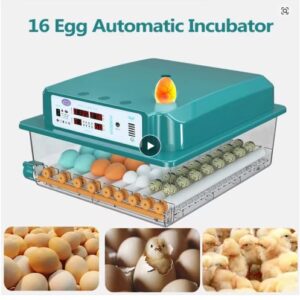 16 Eggs Incubators for Chicken Duck Goose Pigeon Quail Automatic Incubation Equipment Automatic Water Feeder Egg Turning EU Plug