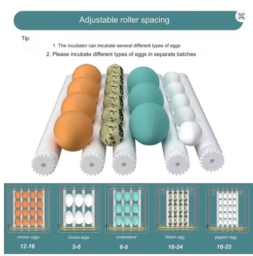 16 Eggs Incubators for Chicken Duck Goose Pigeon Quail Automatic Incubation Equipment Automatic Water Feeder Egg Turning EU Plug - Image 4