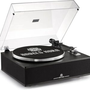 Angels Horn Bluetooth vinyl record player with built-in speakers